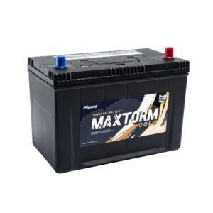 MAXTORM SMF 105D31L