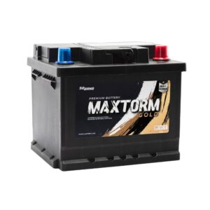 MAXTORM SMF 54316