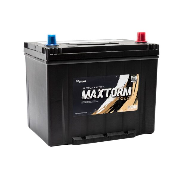 MAXTORM SMF 105D31R